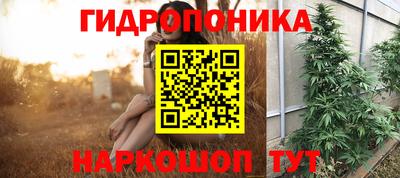 дмт Новодвинск